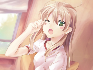 Illustration for article titled Katawa Shoujo Review